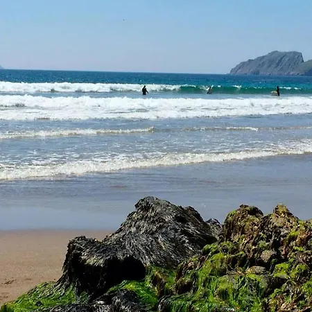 Beachcove Pensión Killarney